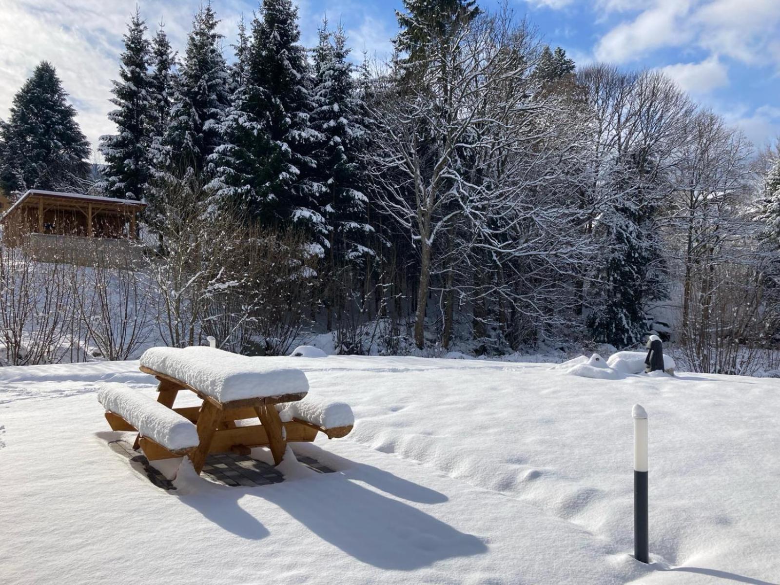 La Cabane Des Ecureuils Xonrupt-Longemer Exteriér fotografie